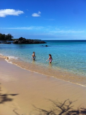 Thumbnail image for Fall 2013 Travel Highlights: Hawaii & Madison,WI